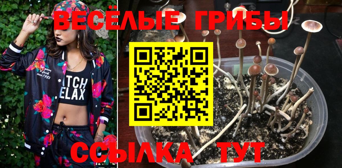 Избербаш  Псилоцибиновые грибы мицелий  Вход с VPN 