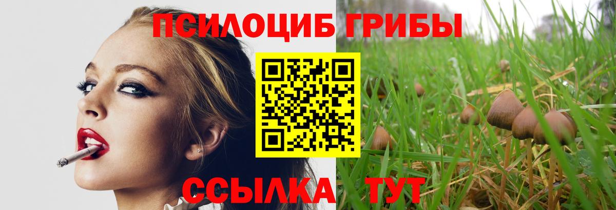 Псилоцибиновые грибы мицелий Избербаш